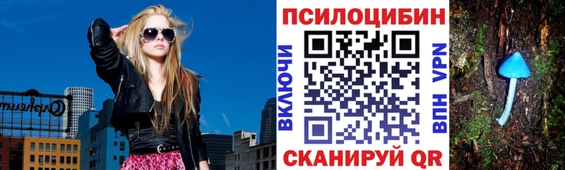 Псилоцибиновые грибы Psilocybine cubensis  как найти закладки  Хилок 